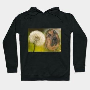 Bloodhound Dog Dandelion Hoodie